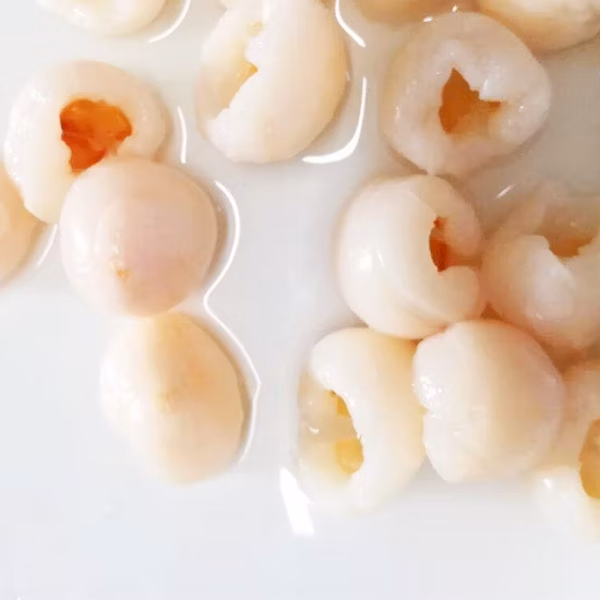 Nuevo Mochila para jardín, granjero, agricultura, cultivo Manual, 2 en 1, mochila, rociador eléctrico con batería (HT