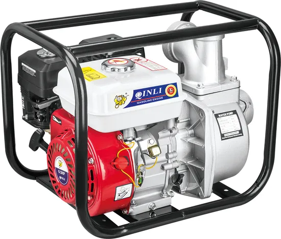 Pulverizador eléctrico portátil de 22/30bar con motor de gasolina tipo camilla para riego agrícola